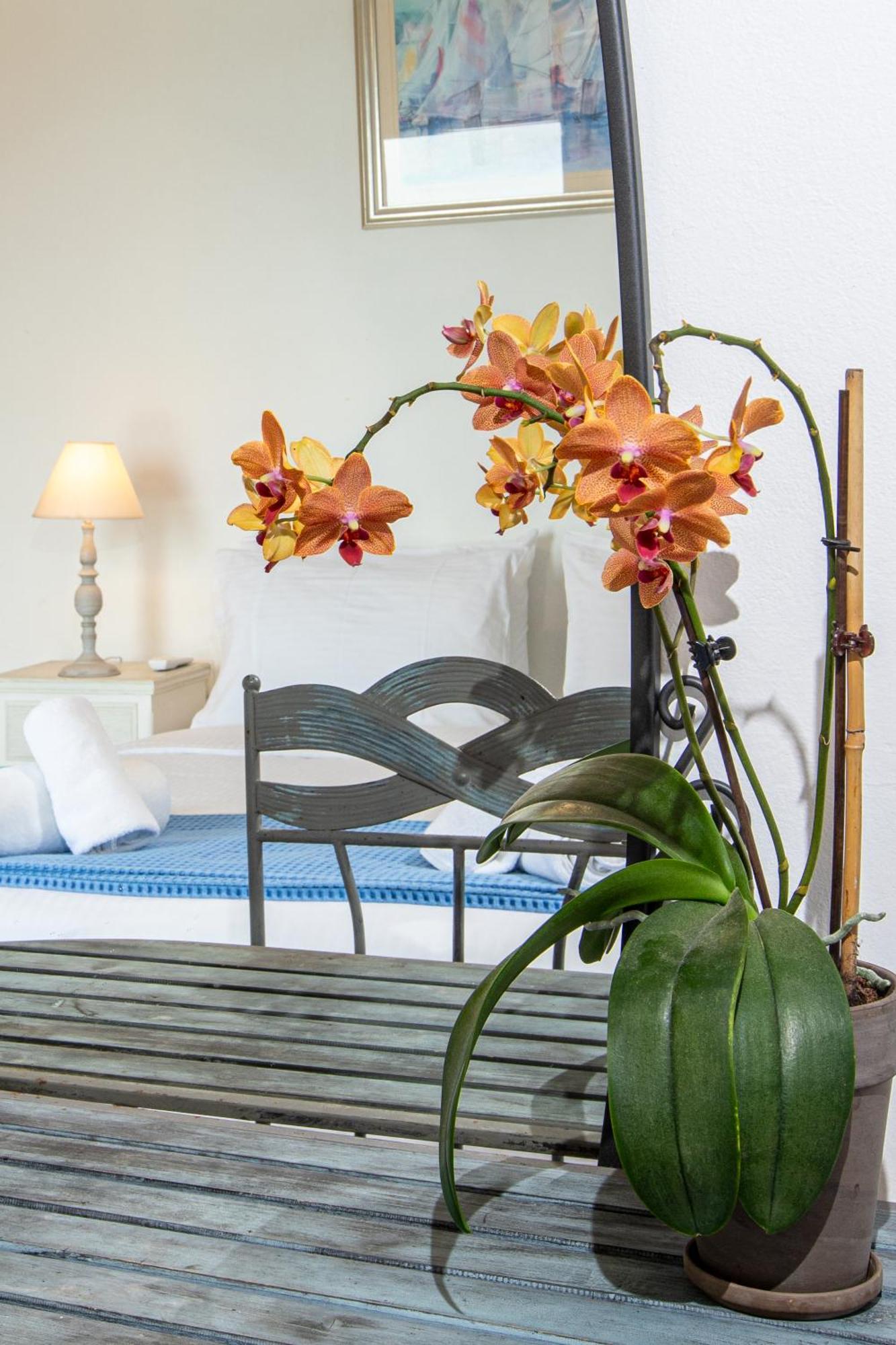 Dimitra Apartment With Private Pool And Sea View -The Ground Floor Of A Two Storey Building Daráco Kültér fotó